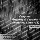 6 hr CE - Property and Casualty Insurance - Commercial Lines